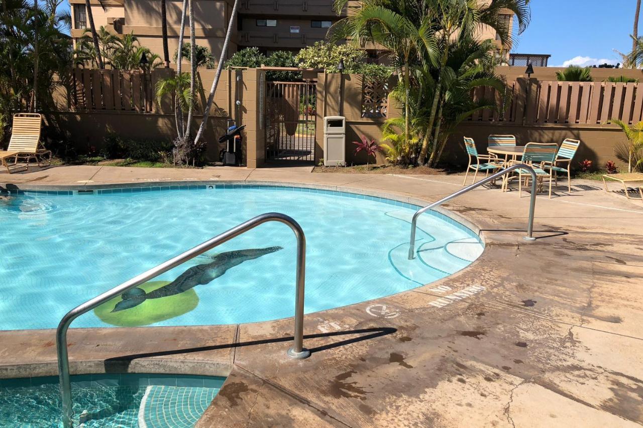 Hotel Maui Kai 507 Napili-Honokowai Zewnętrze zdjęcie